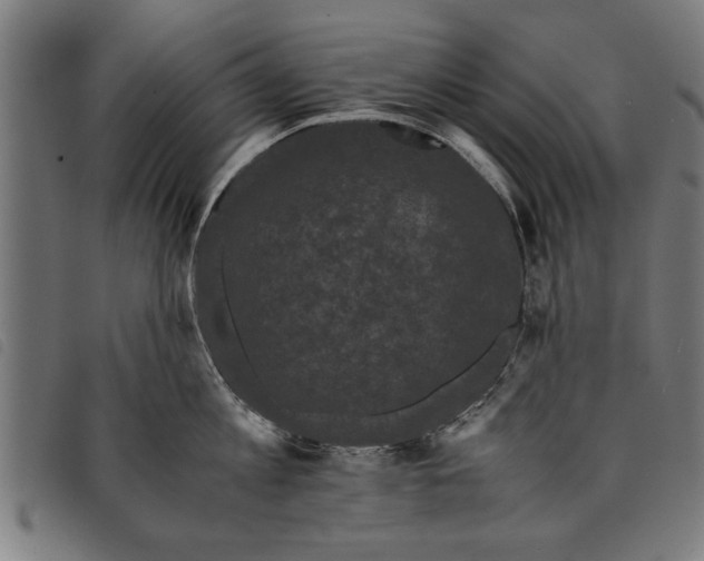 X0000097800813200804041313