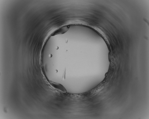 X0000097800815200804041313