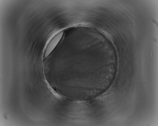 X0000097800816200804041313