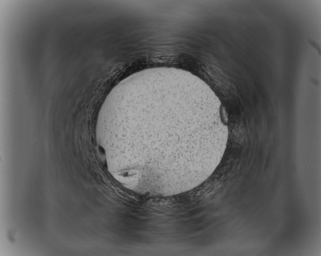 X0000097800817200804041312