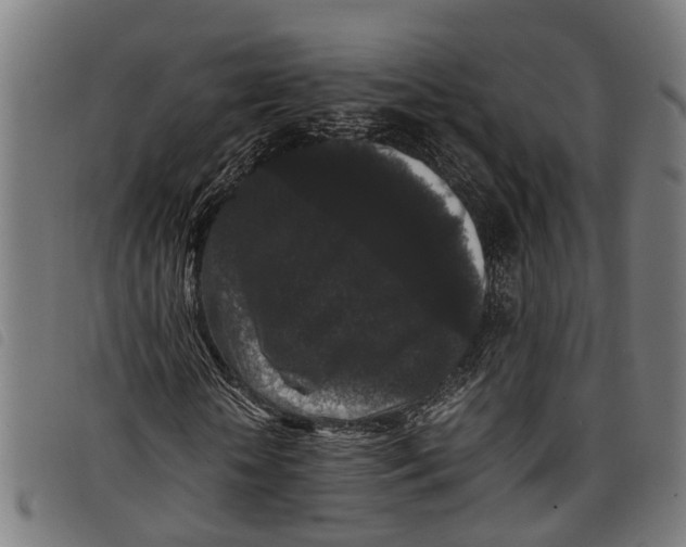 X0000097800818200804041312