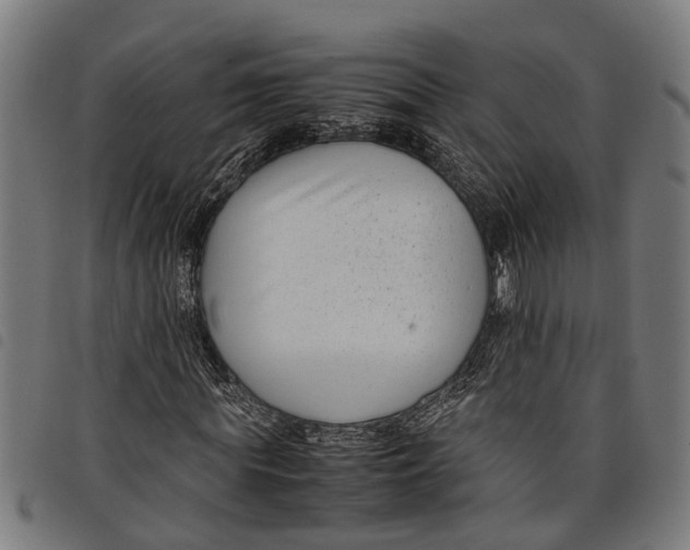 X0000097800819200804041312