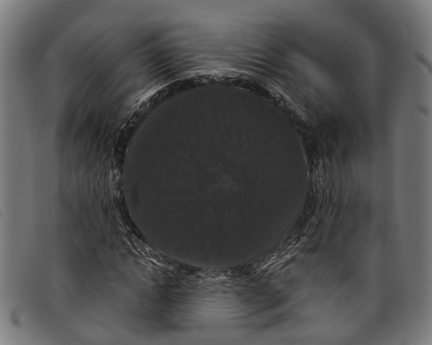 X0000097800822200804041312