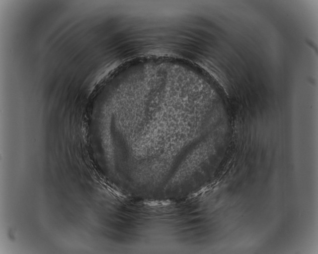 X0000097800823200804041312