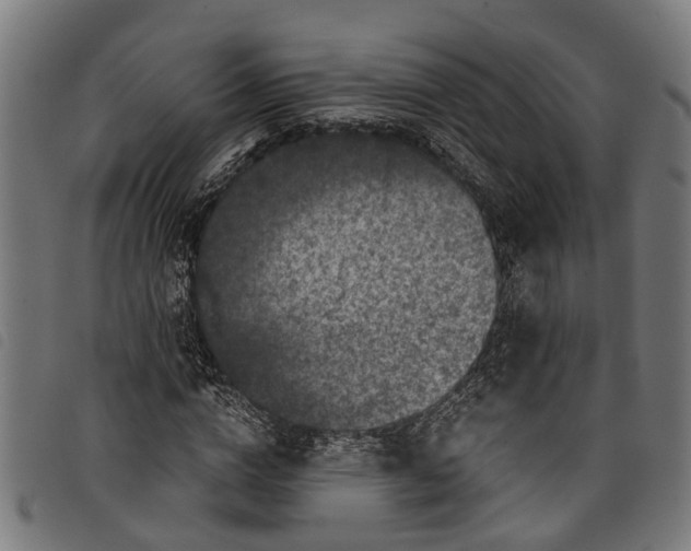 X0000097800824200804041312