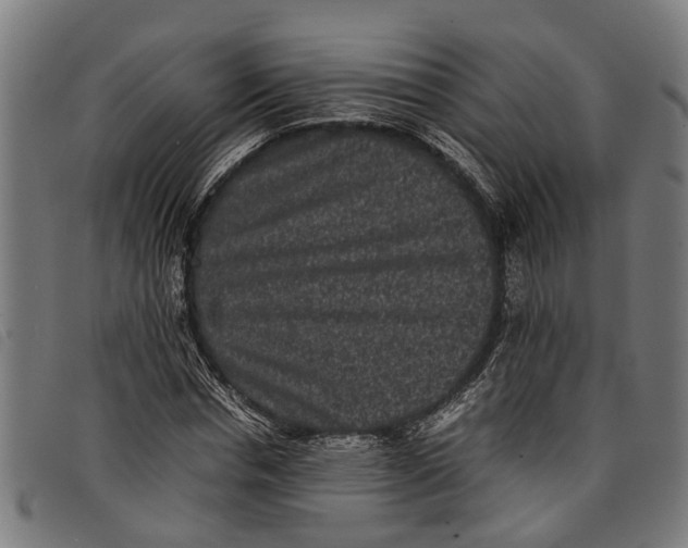 X0000097800826200804041312