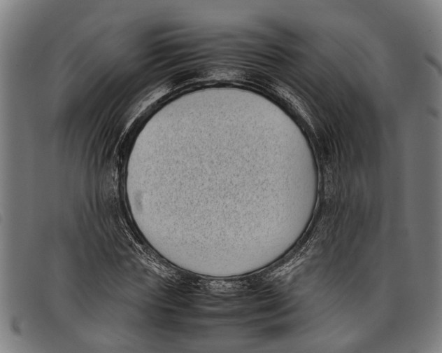 X0000097800827200804041312