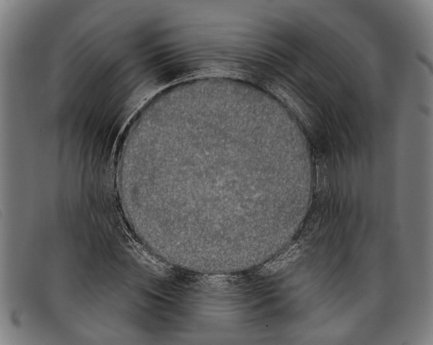 X0000097800828200804041312