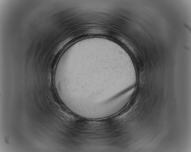 X0000097800829200804041312