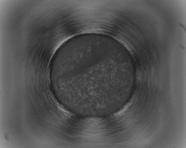 X0000097800830200804041312