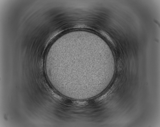 X0000097800831200804041312