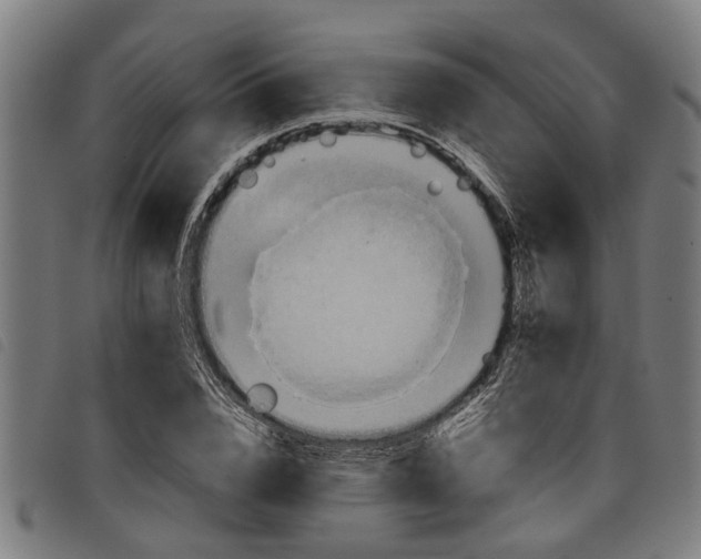 X0000097800832200804041312