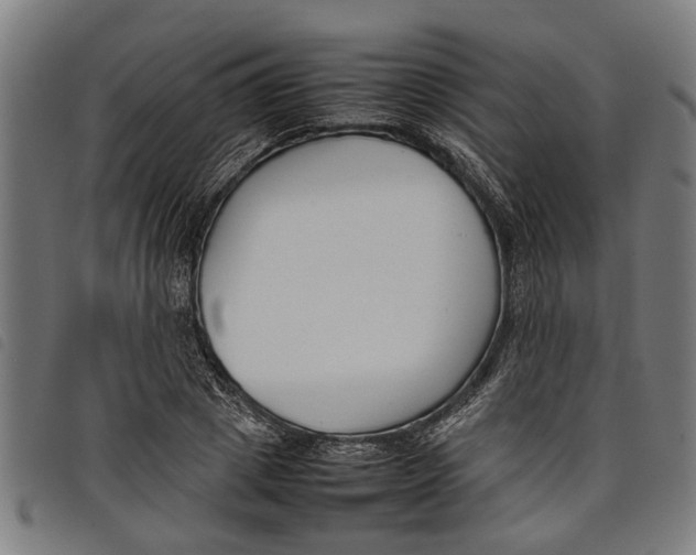 X0000097800833200804041312