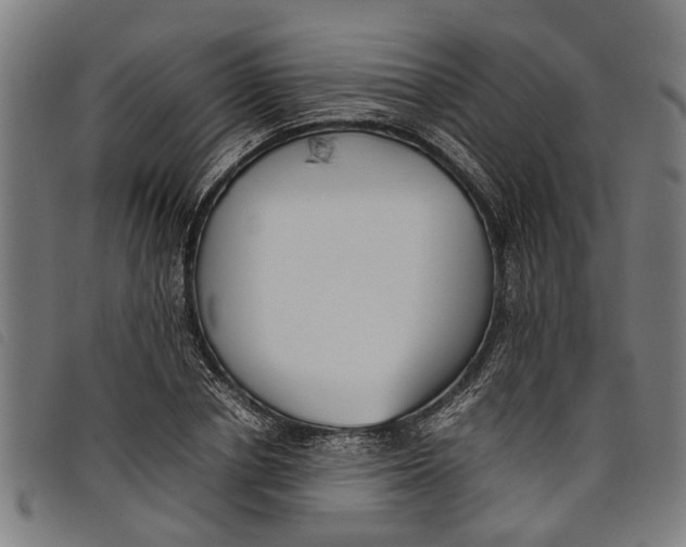 X0000097800834200804041312