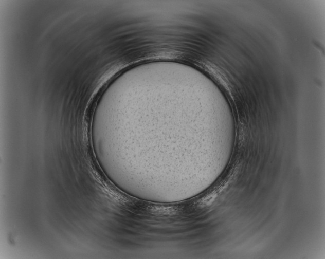 X0000097800835200804041312