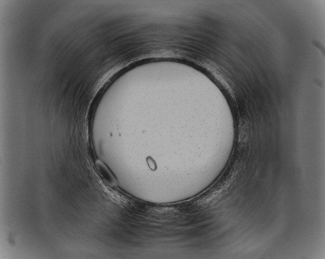 X0000097800837200804041312