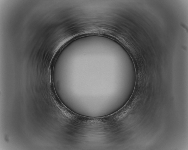 X0000097800838200804041312