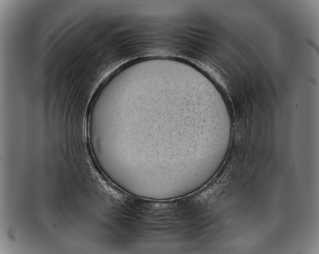 X0000097800839200804041312