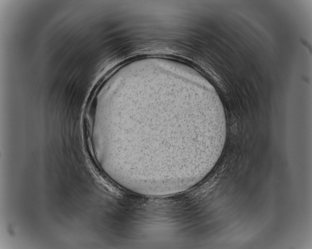 X0000097800840200804041312