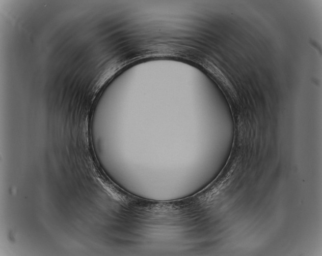 X0000097800842200804041312