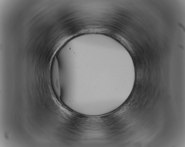 X0000097800844200804041312