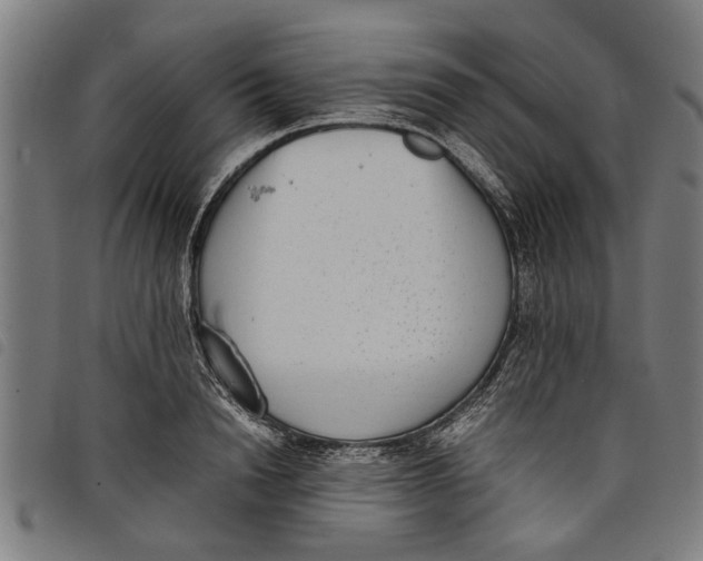 X0000097800846200804041313