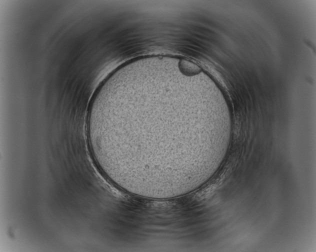 X0000097800847200804041313