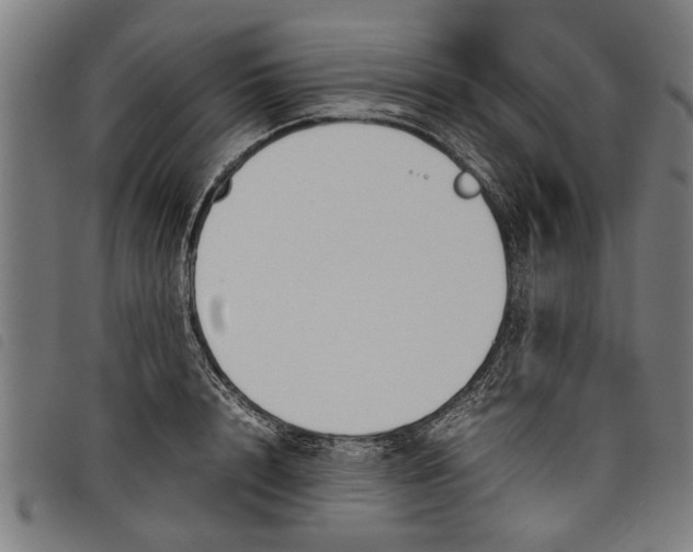 X0000097800848200804041313