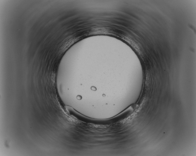 X0000097800849200804041313