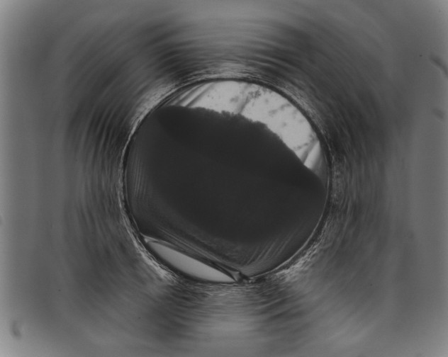 X0000097800850200804041313