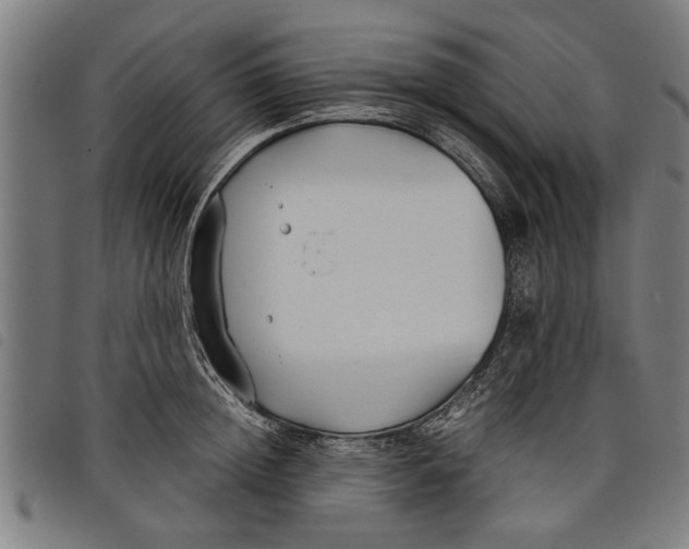 X0000097800852200804041313