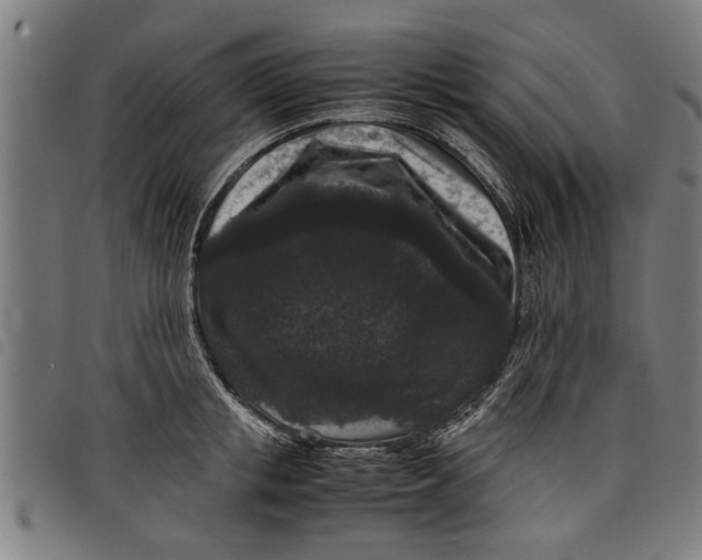 X0000097800853200804041313