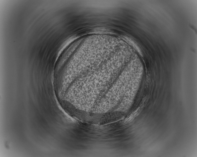 X0000097800855200804041313