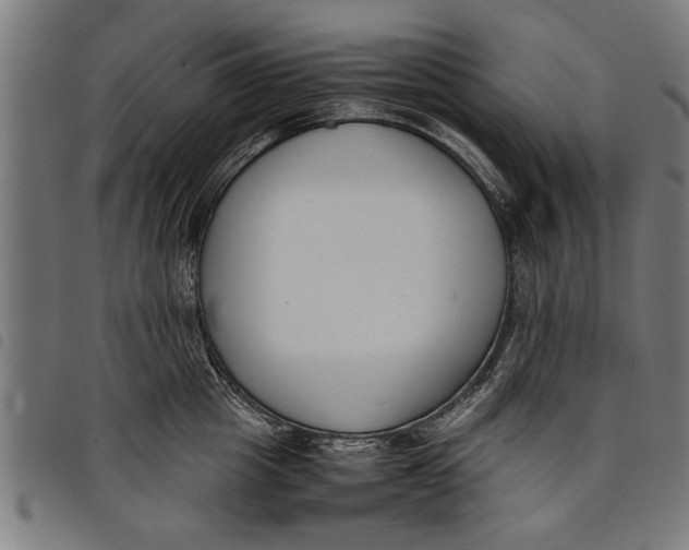 X0000097800857200804041313