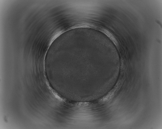 X0000097800858200804041313