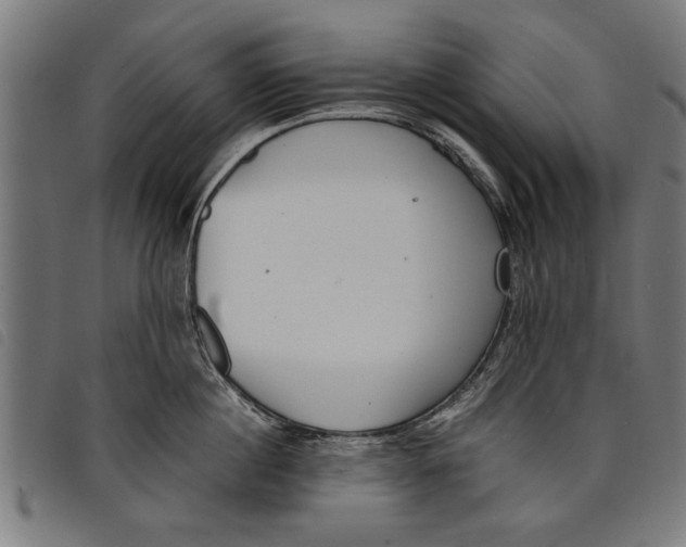 X0000097800860200804041313