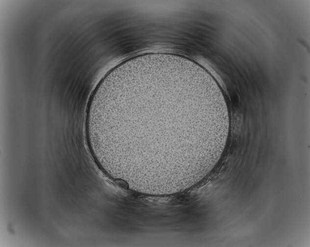 X0000097800861200804041313