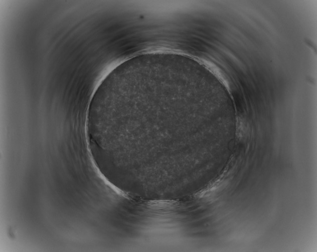 X0000097800863200804041313