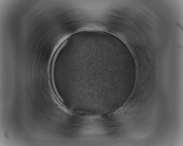 X0000097800864200804041313