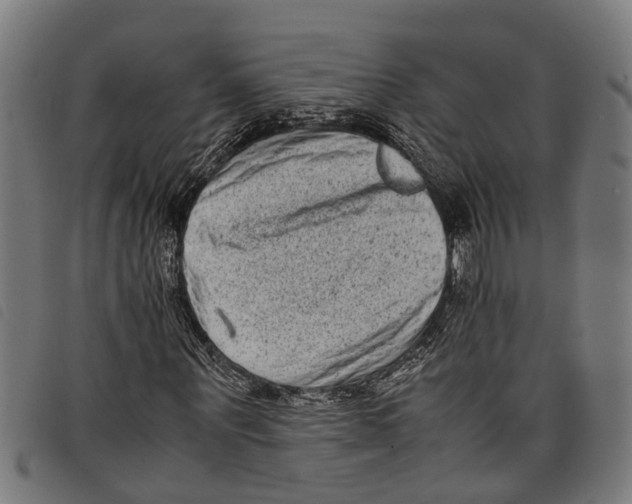 X0000097800867200804041312