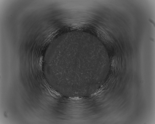 X0000097800868200804041312