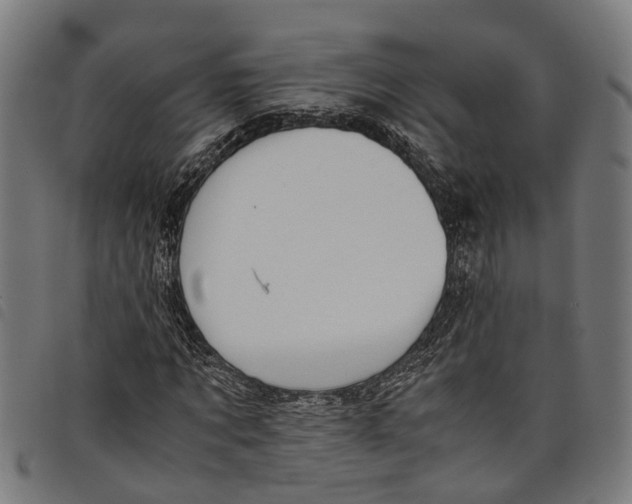 X0000097800869200804041312