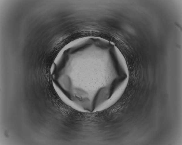 X0000097800870200804041312