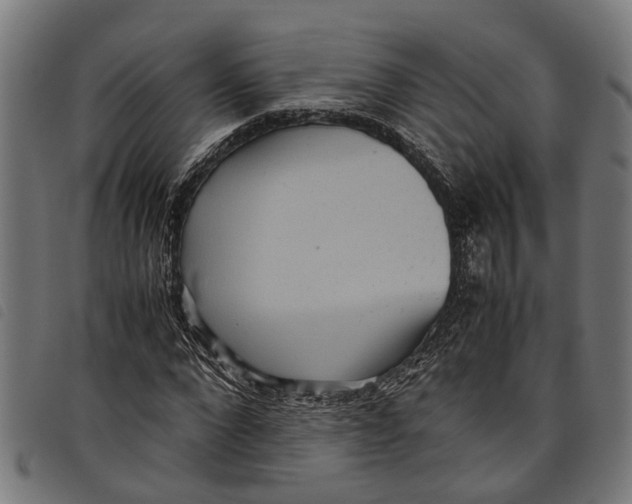 X0000097800872200804041312