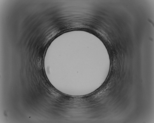 X0000097800873200804041312