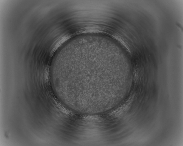 X0000097800874200804041312