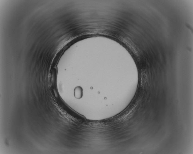 X0000097800876200804041312