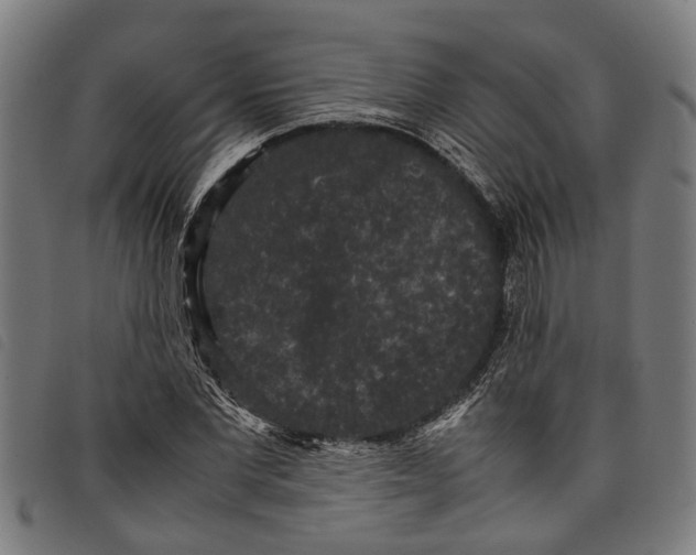 X0000097800877200804041312