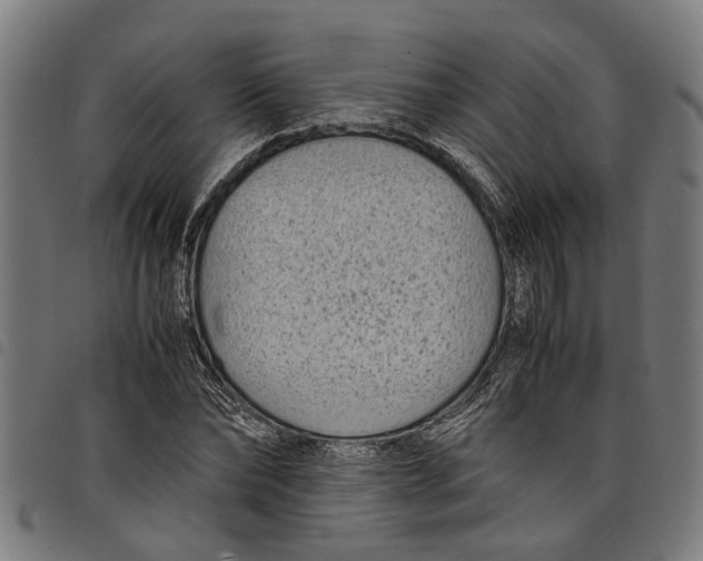 X0000097800878200804041312