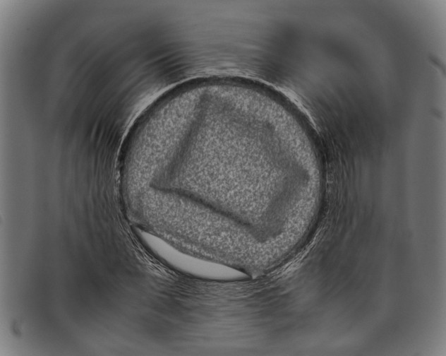 X0000097800879200804041312